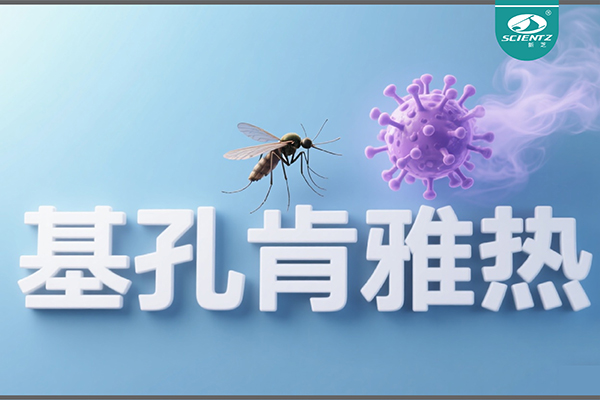 基孔肯雅熱疫情升級(jí)！新芝生物硬核技術(shù)助力病毒精準(zhǔn)診斷