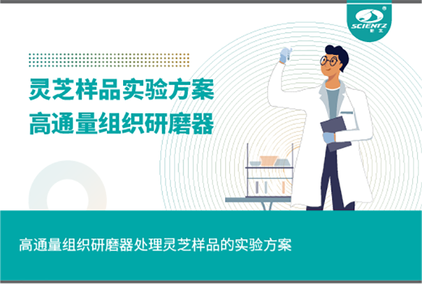 高通量組織研磨器處理靈芝樣品的實驗方案